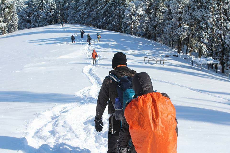 kedarnath trek vs amarnath trek